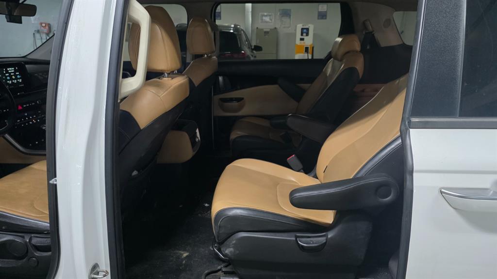 KIA Carnival - Vista 12