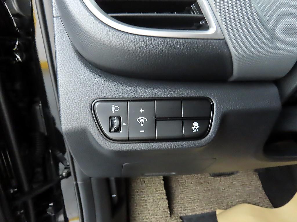 KIA Seltos - Vista 12