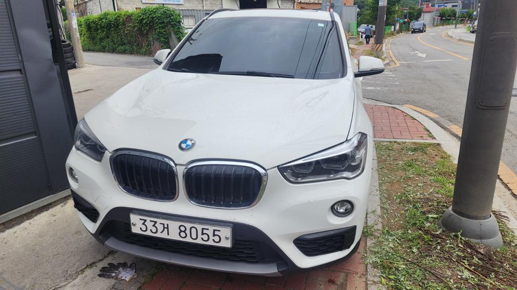 BMW X1 (F48) xDrive 18d