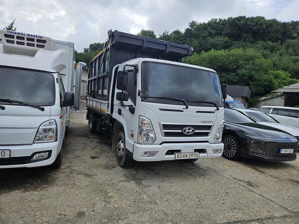 medium and large cargo goso