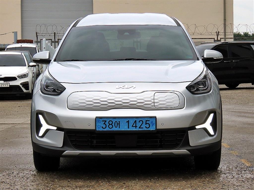 KIA Niro Plus EV earth