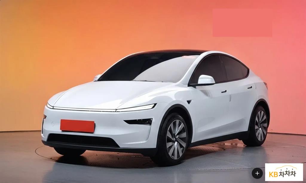 Tesla Model Y RWD