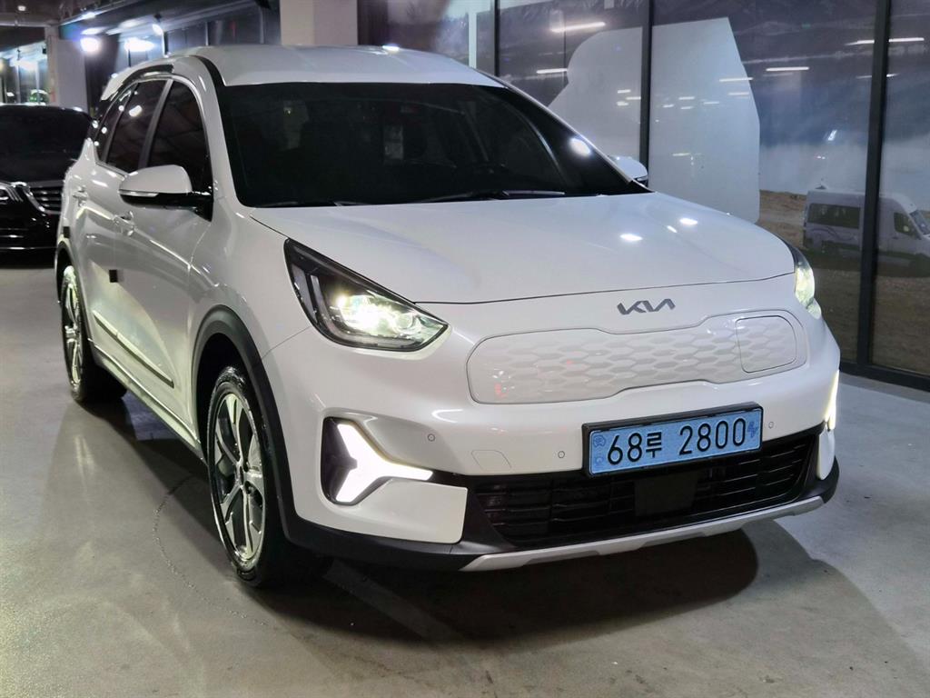 KIA Niro Plus EV earth