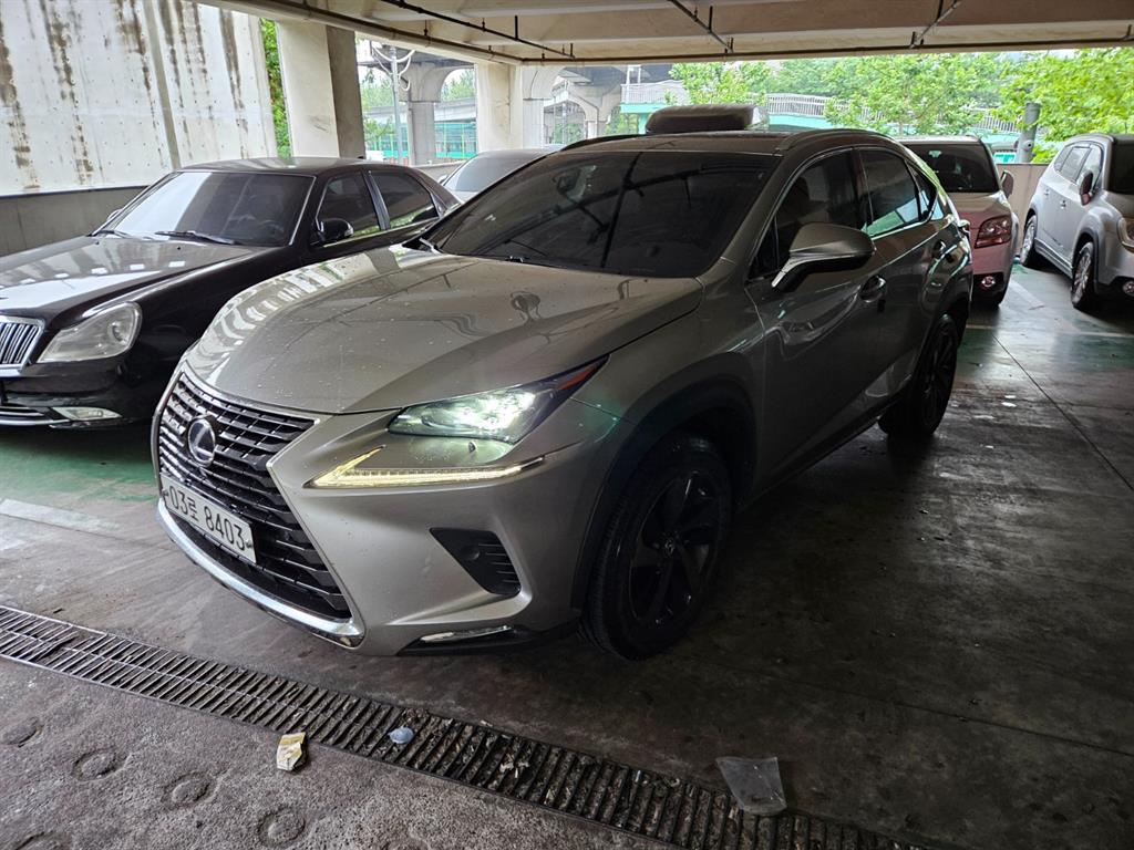 Lexus NX 300h executive